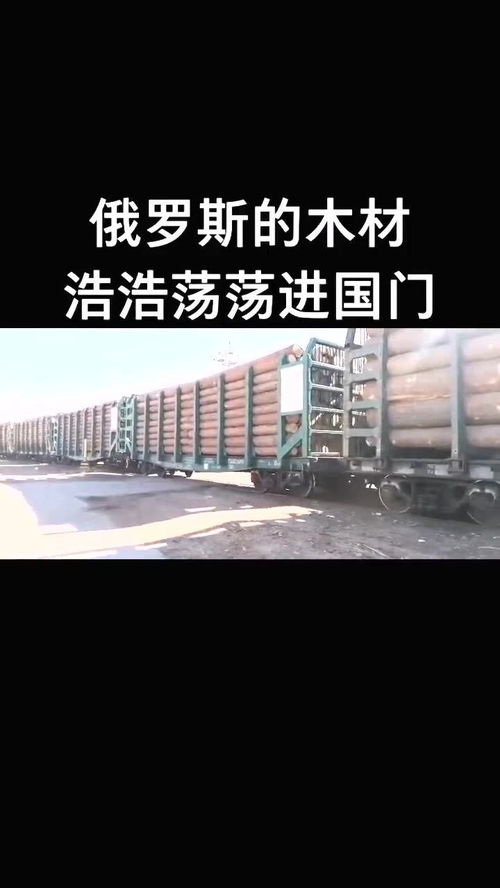 日用化工产品换木材 中俄换货贸易的新篇章